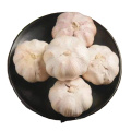 2020 Wholesale Baby Fresh Organic White Garlic With Price